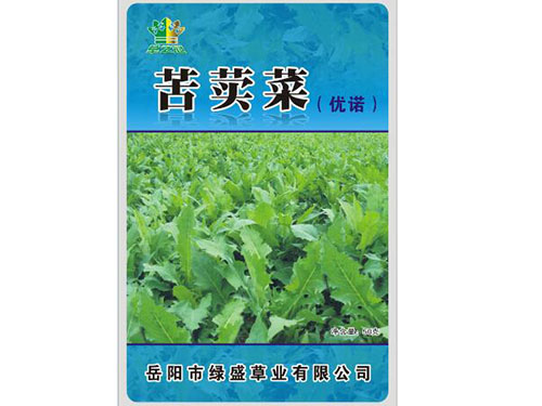苦荬菜 苦荬菜